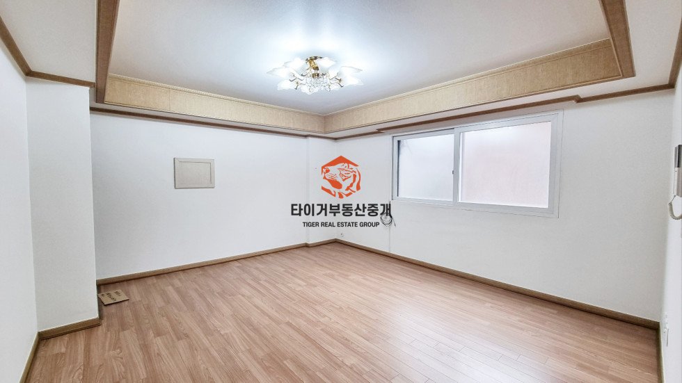사진 8