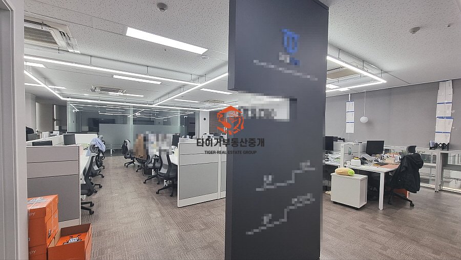 사진 11