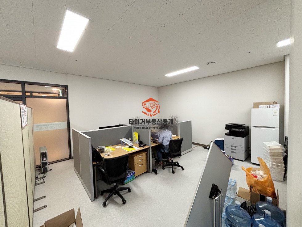사진 8