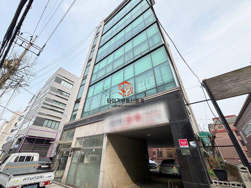 사진 10
