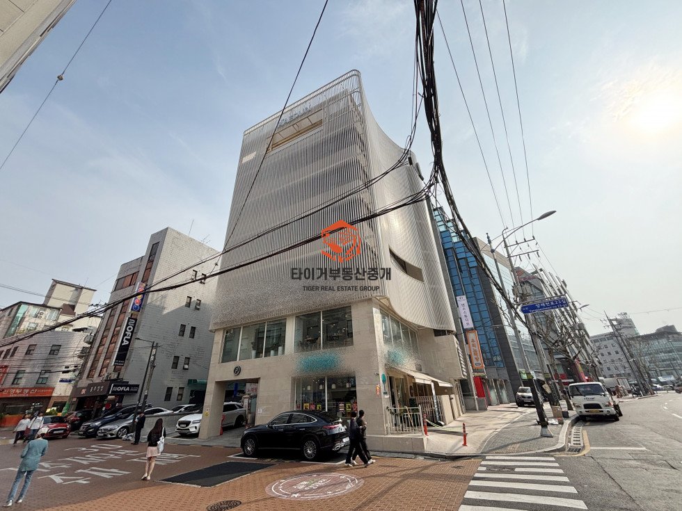사진 12