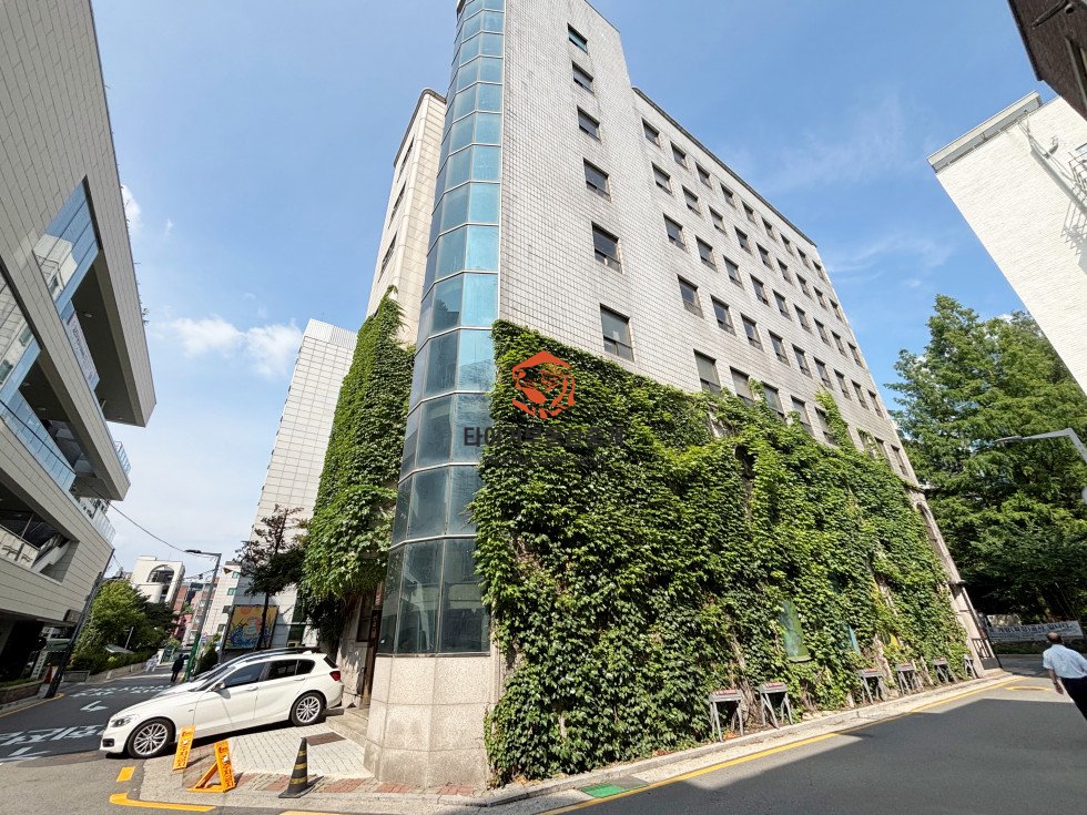 사진 13
