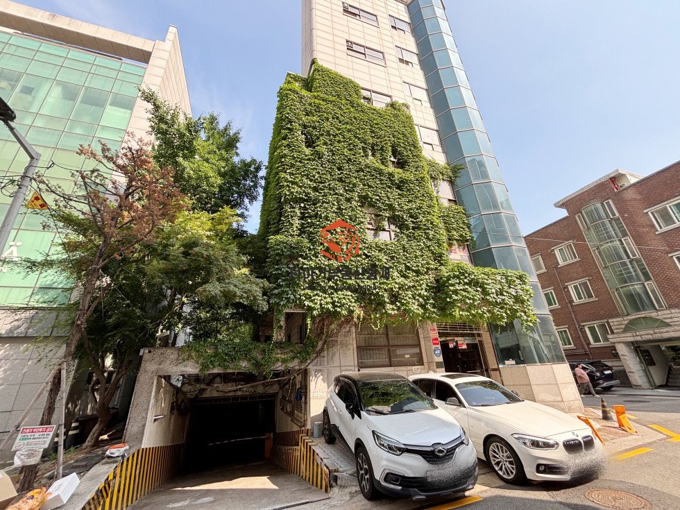 사진 14