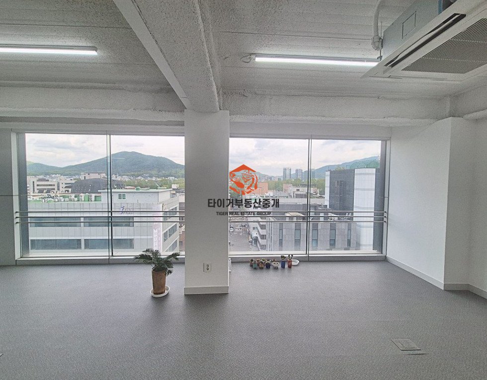 사진 5