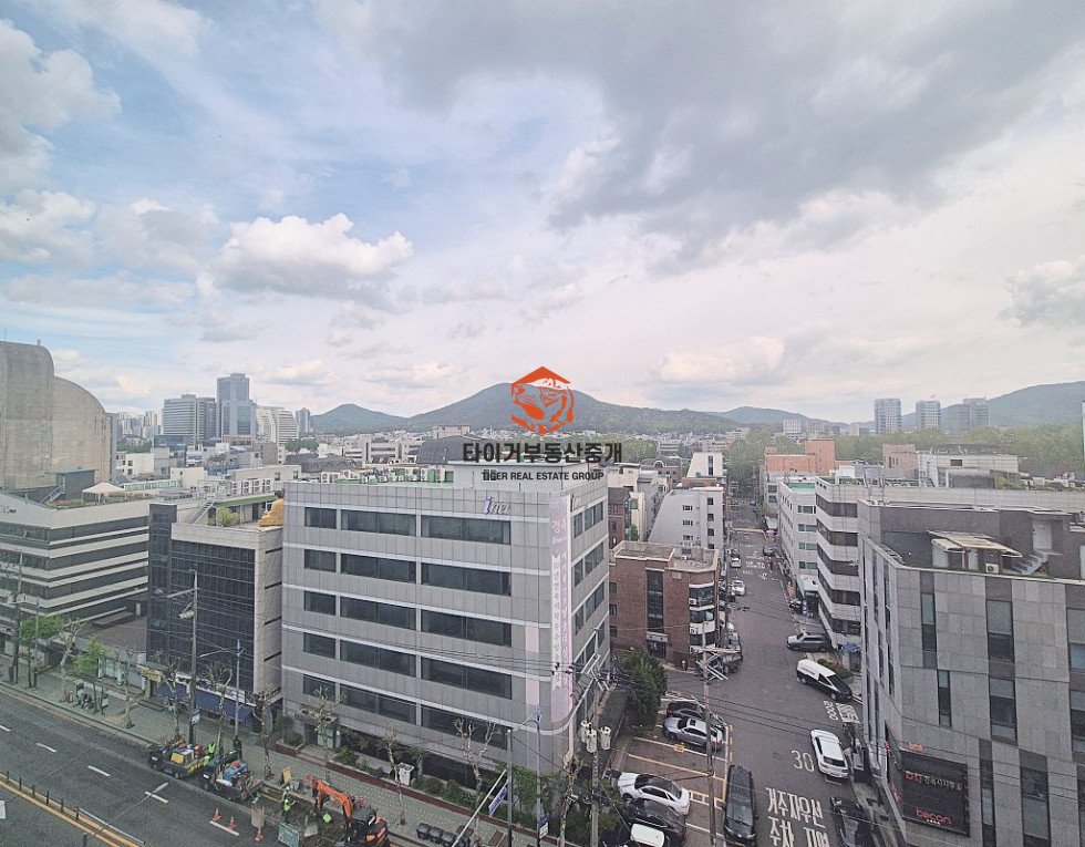 사진 11