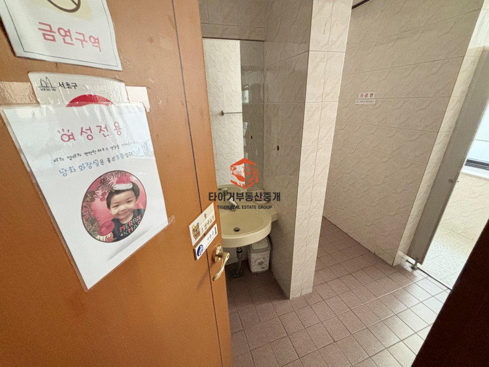 사진 11