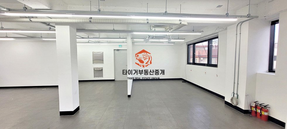 사진 10