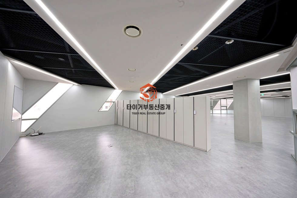 사진 12