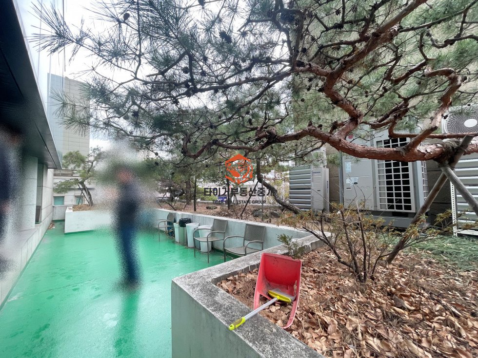 사진 2