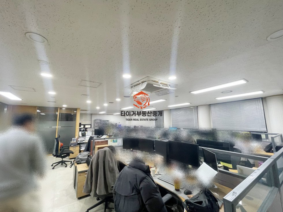 사진 6