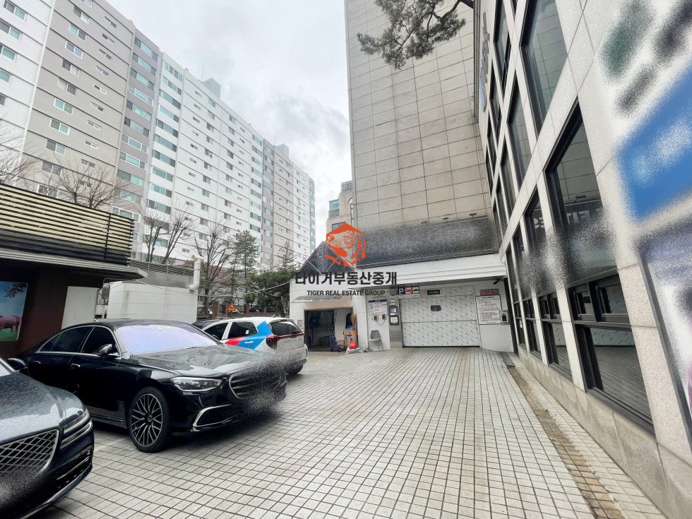 사진 16