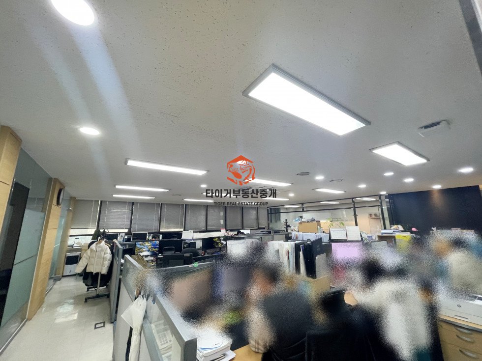 사진 7