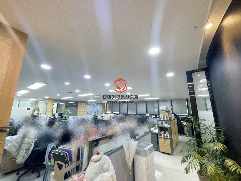 사진 8