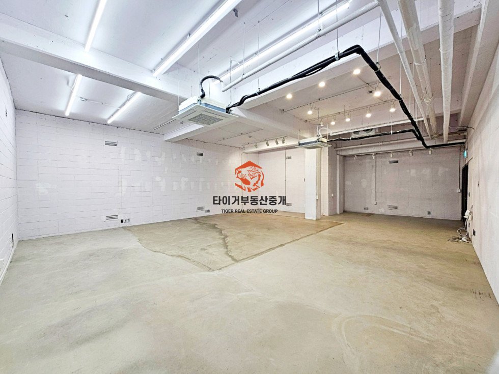 사진 3