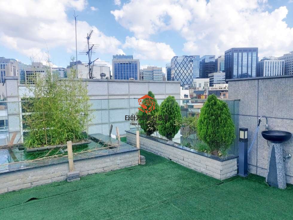 사진 6