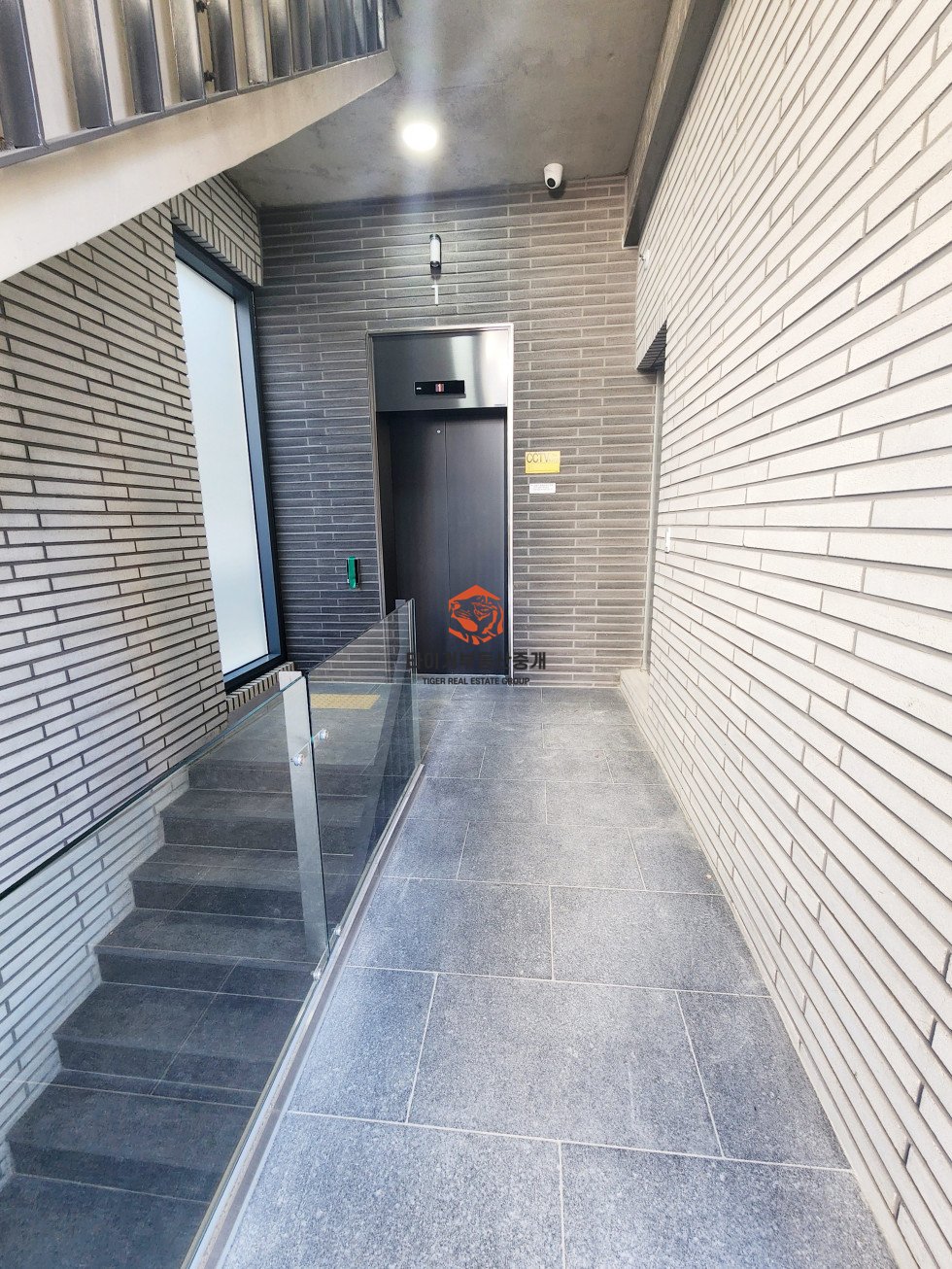 사진 5