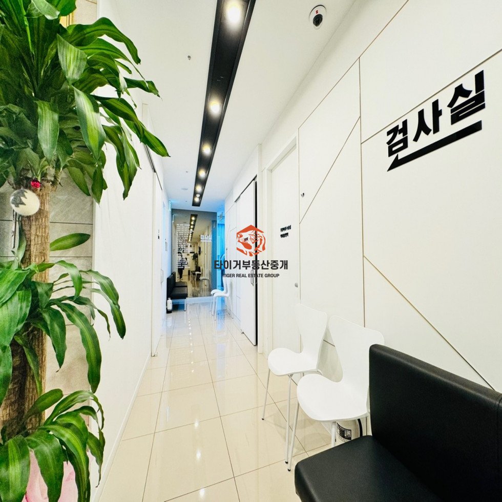 사진 3