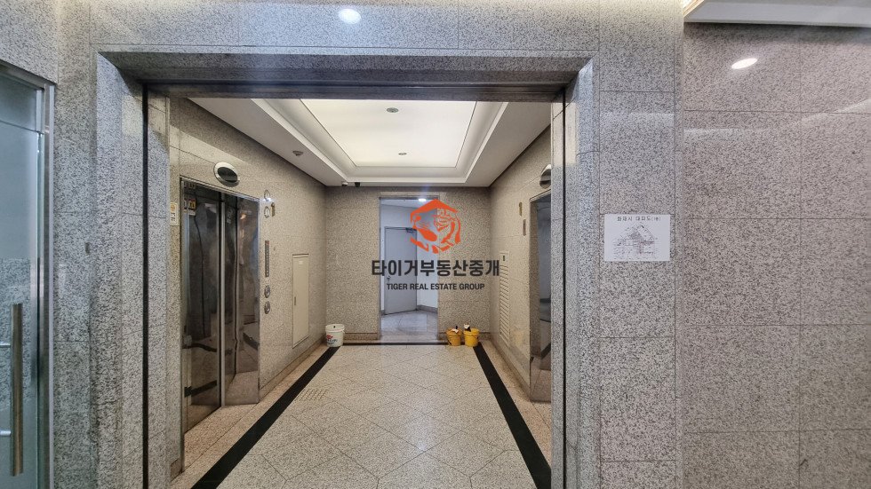 사진 5