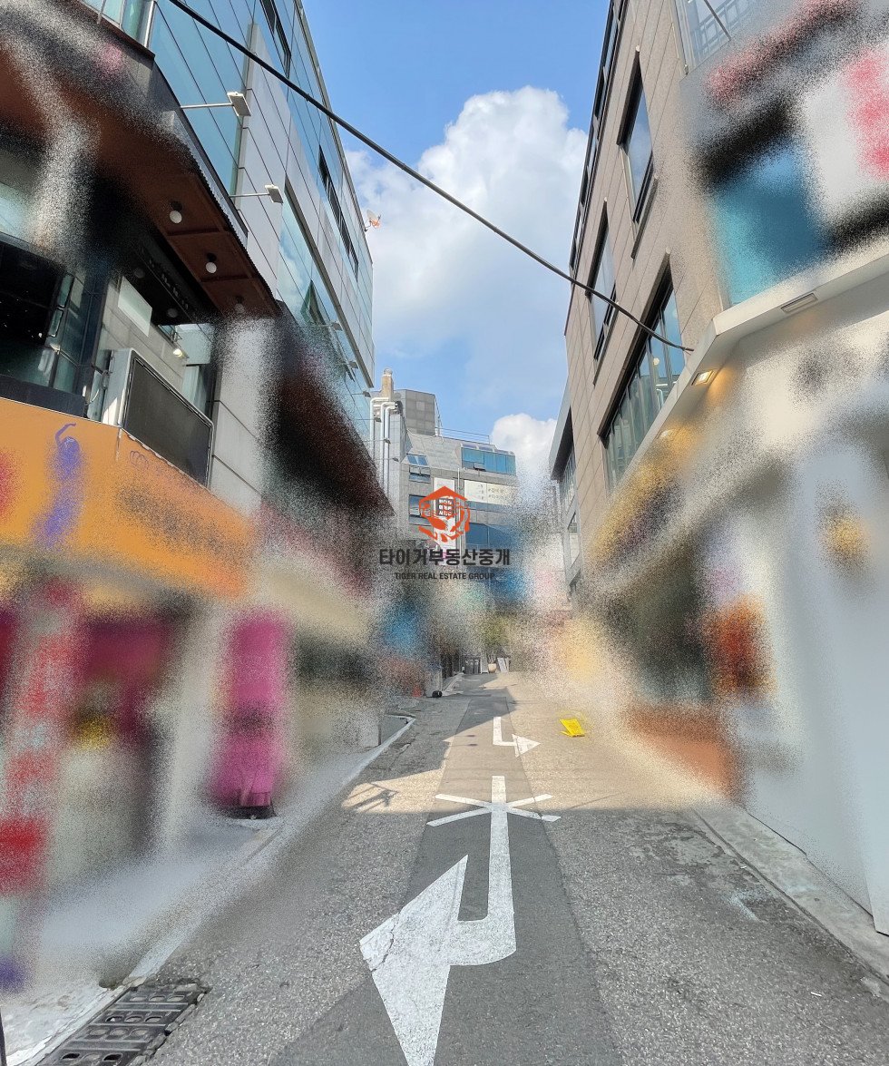 사진 5