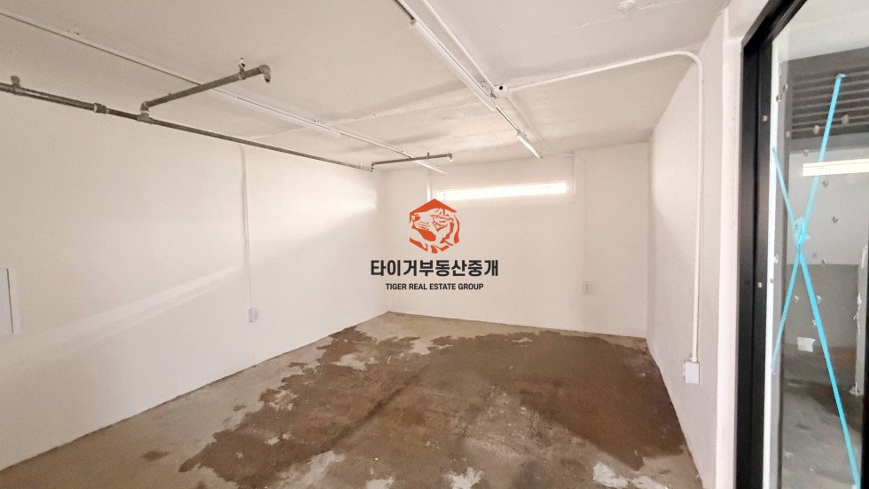 사진 12