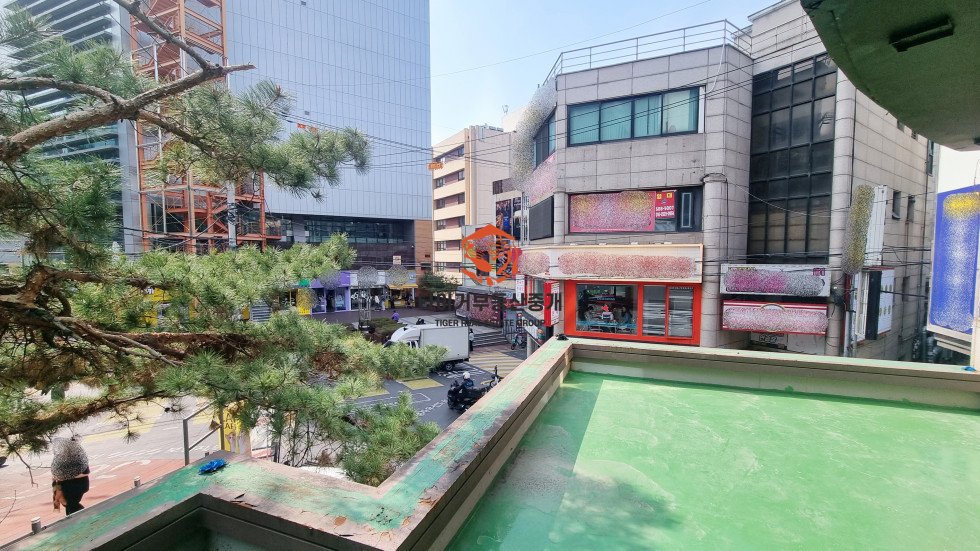 사진 7