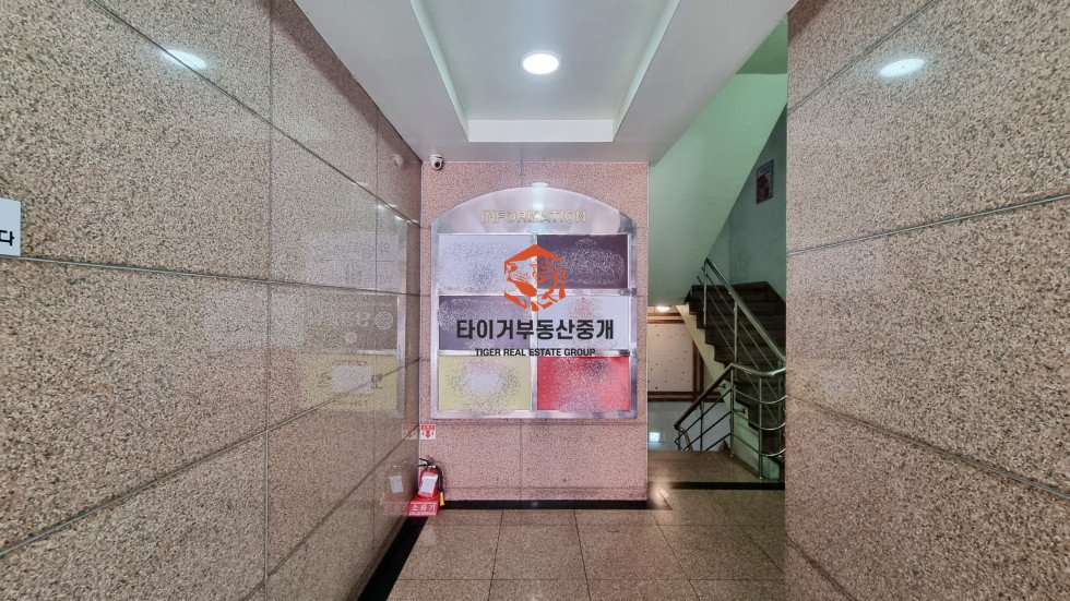 사진 7