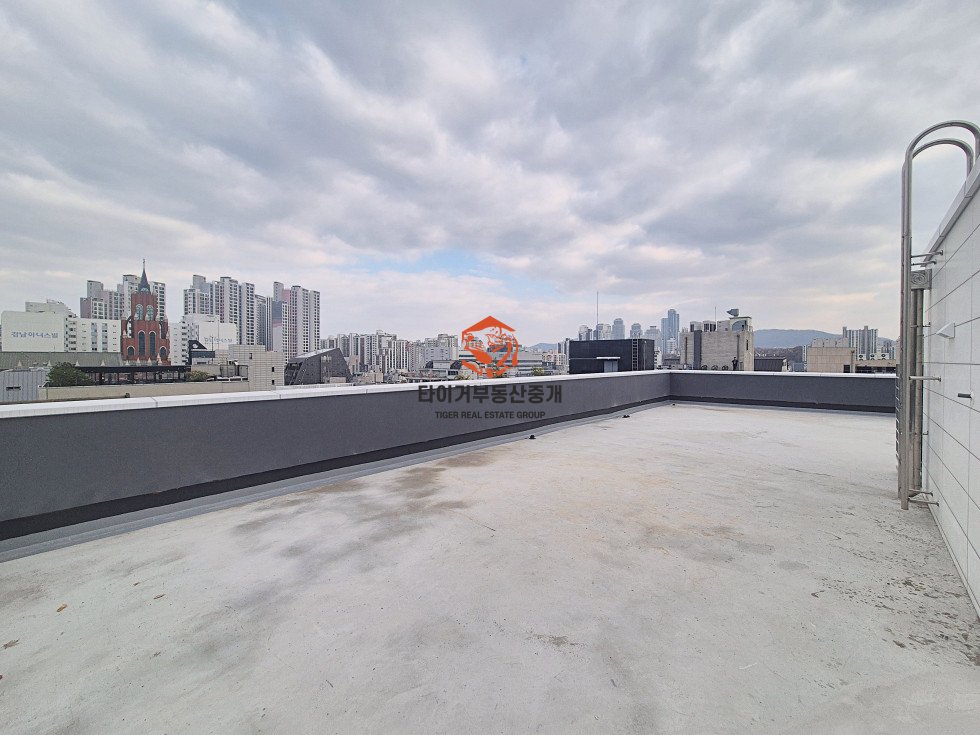 사진 12
