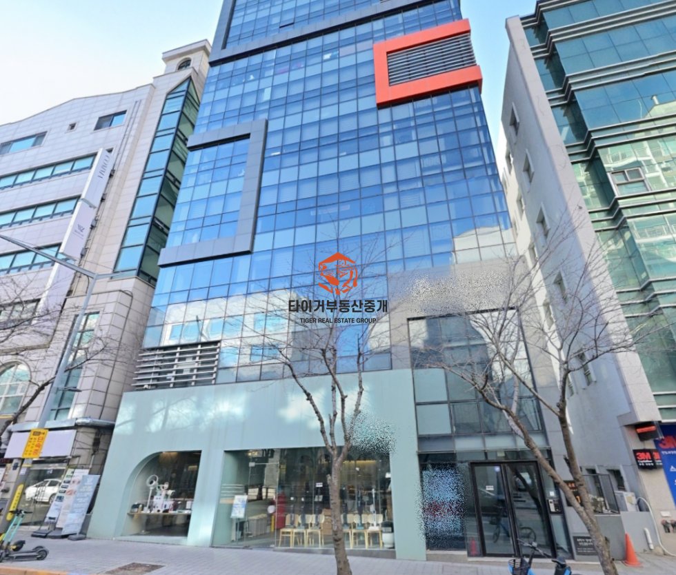 사진 15