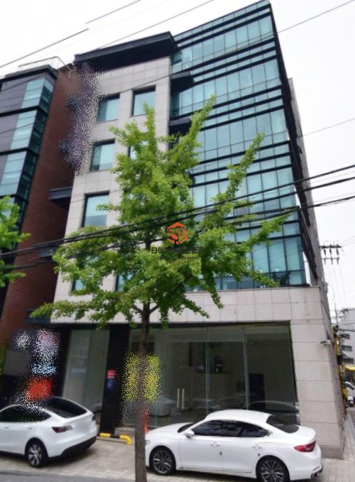 사진 11