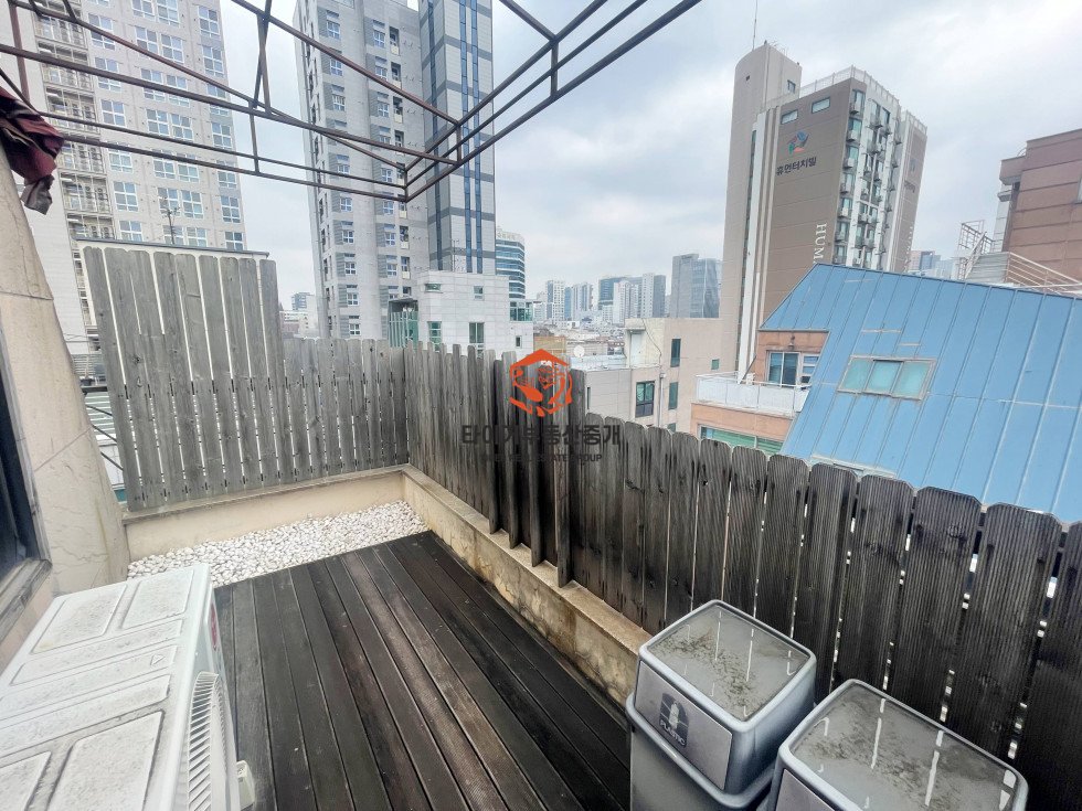 사진 7