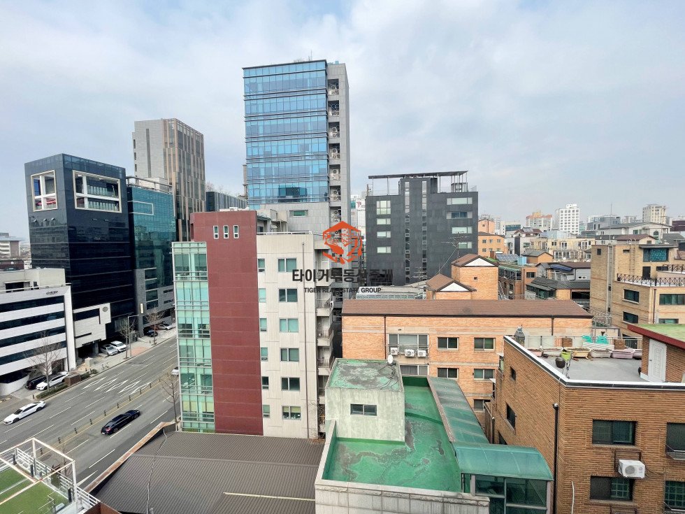 사진 10