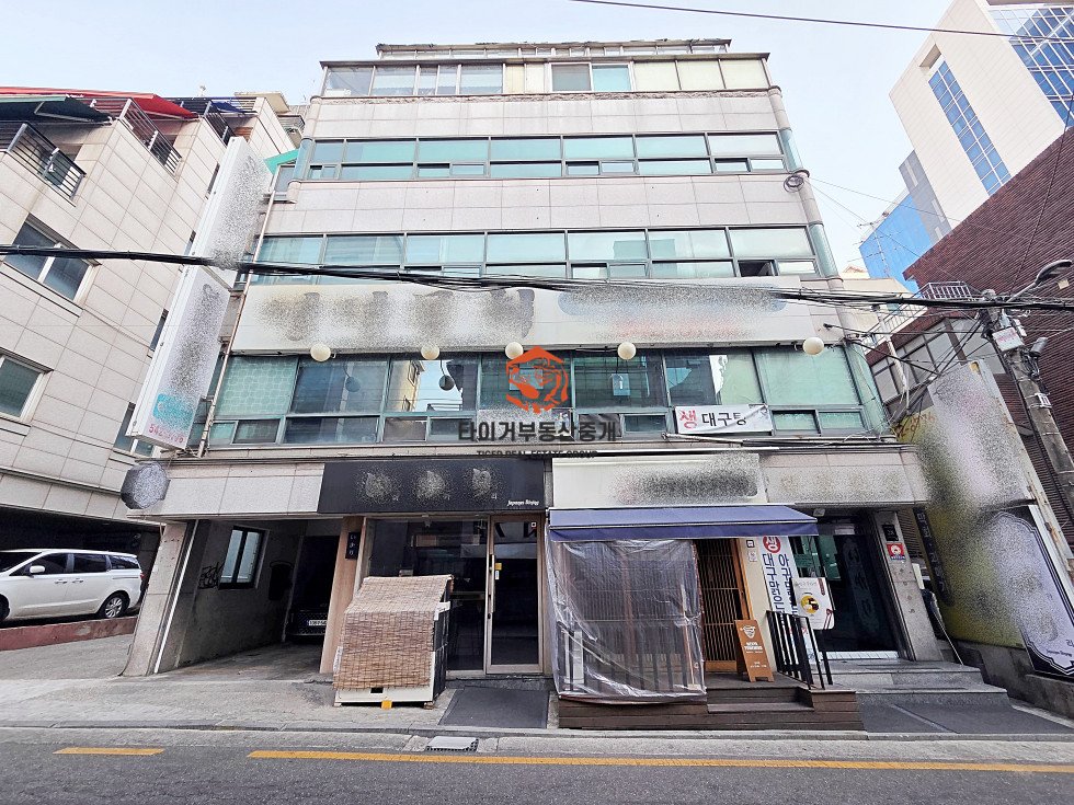 사진 13