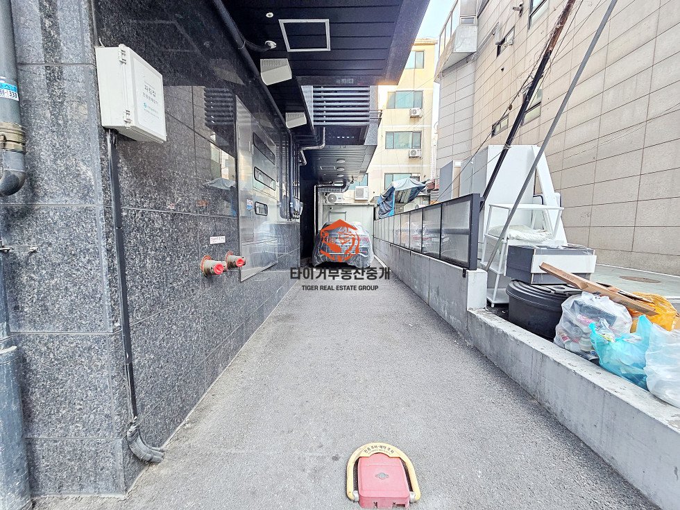 사진 13