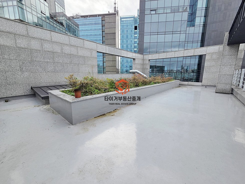 사진 9