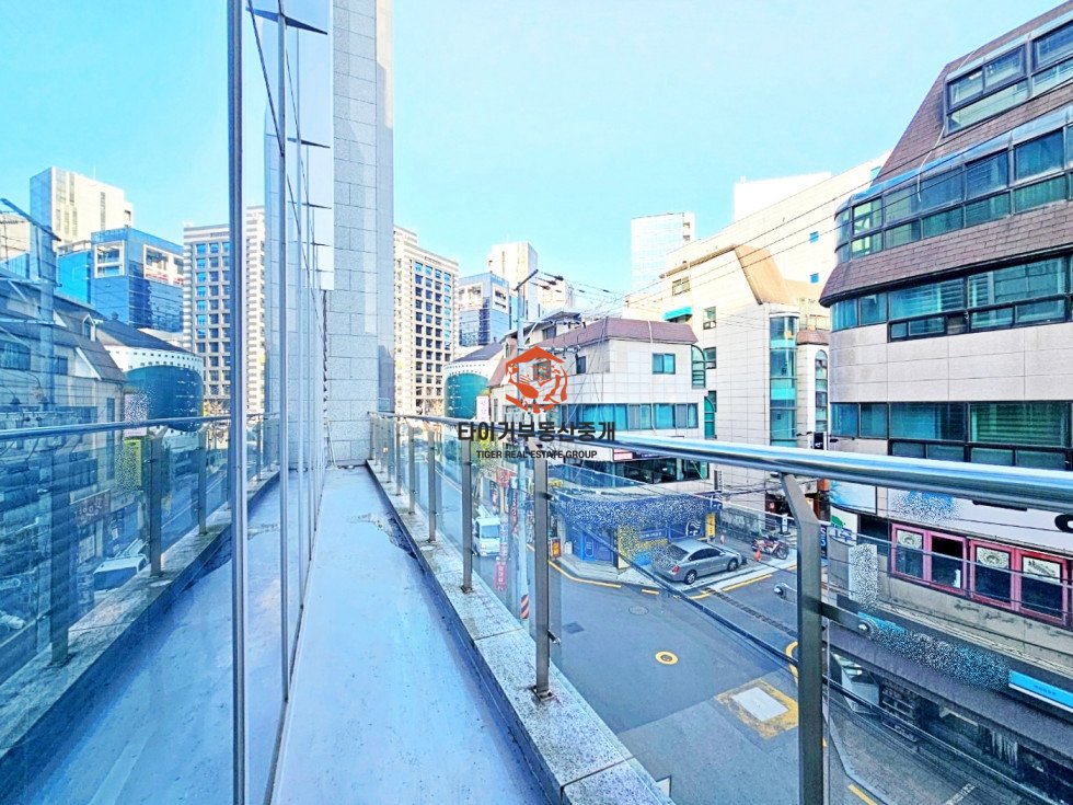 사진 12