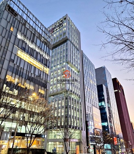 사진 11