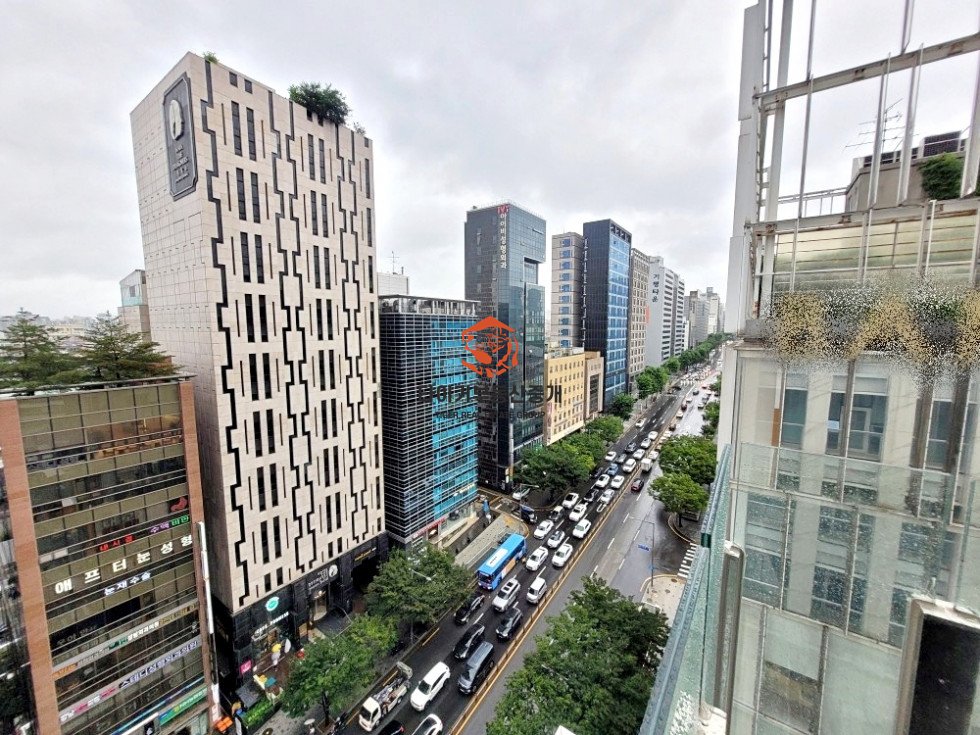 사진 15