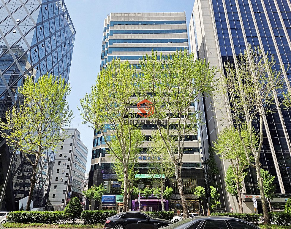 사진 13