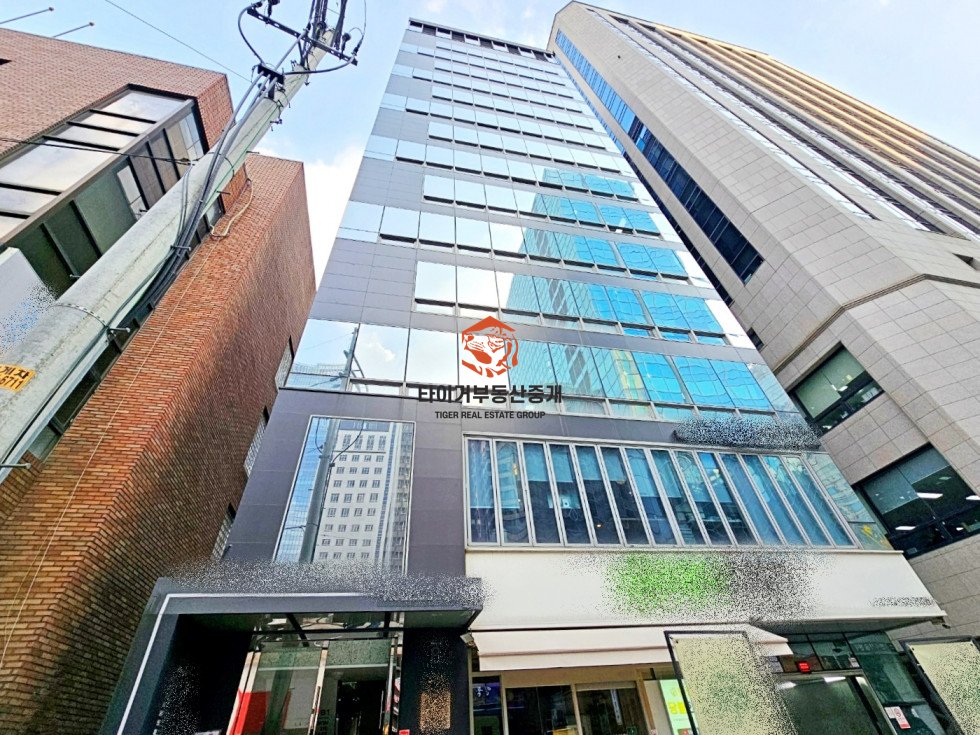 사진 12