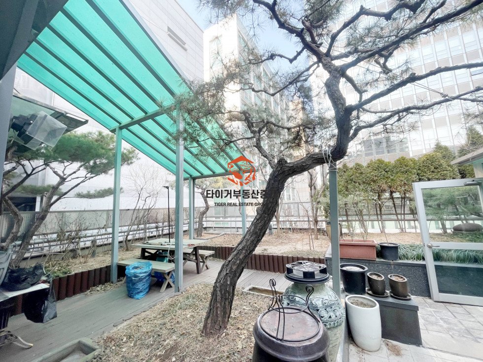 사진 2