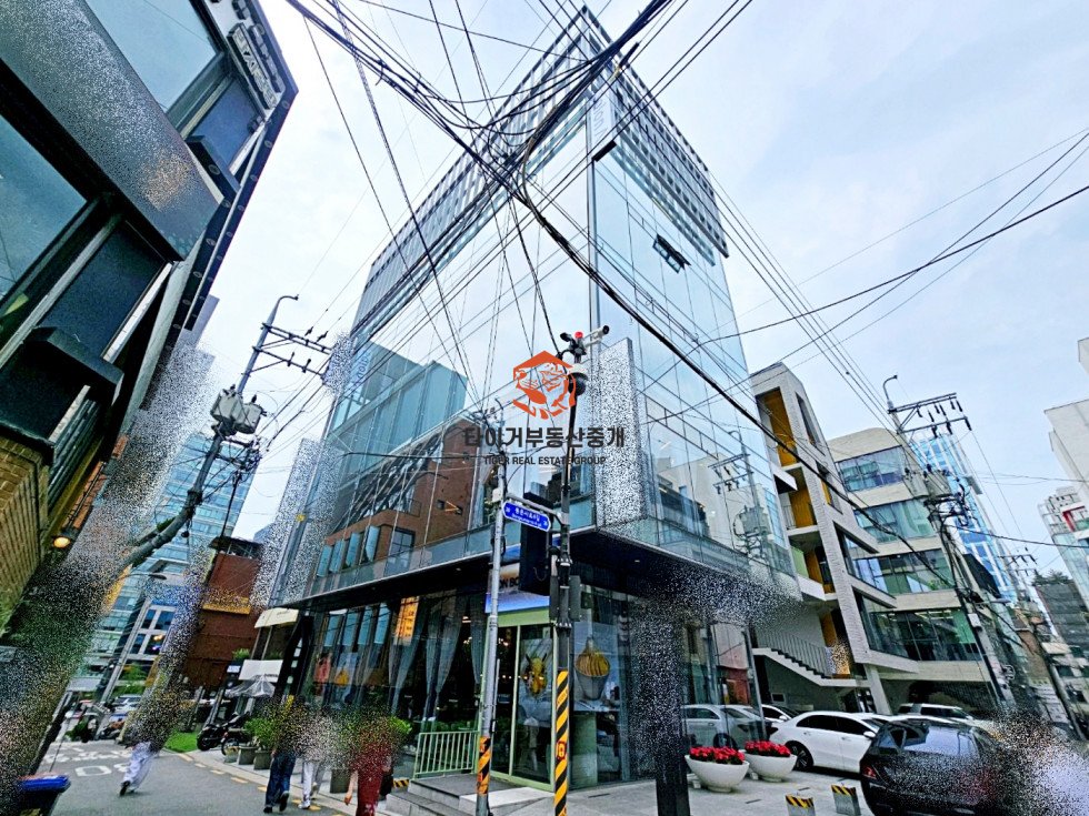 사진 13