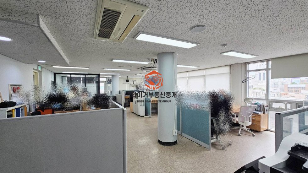 사진 5