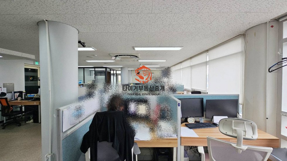 사진 8