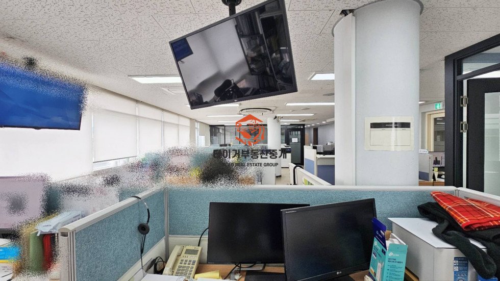 사진 9