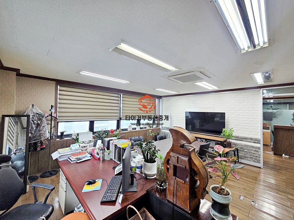 사진 5