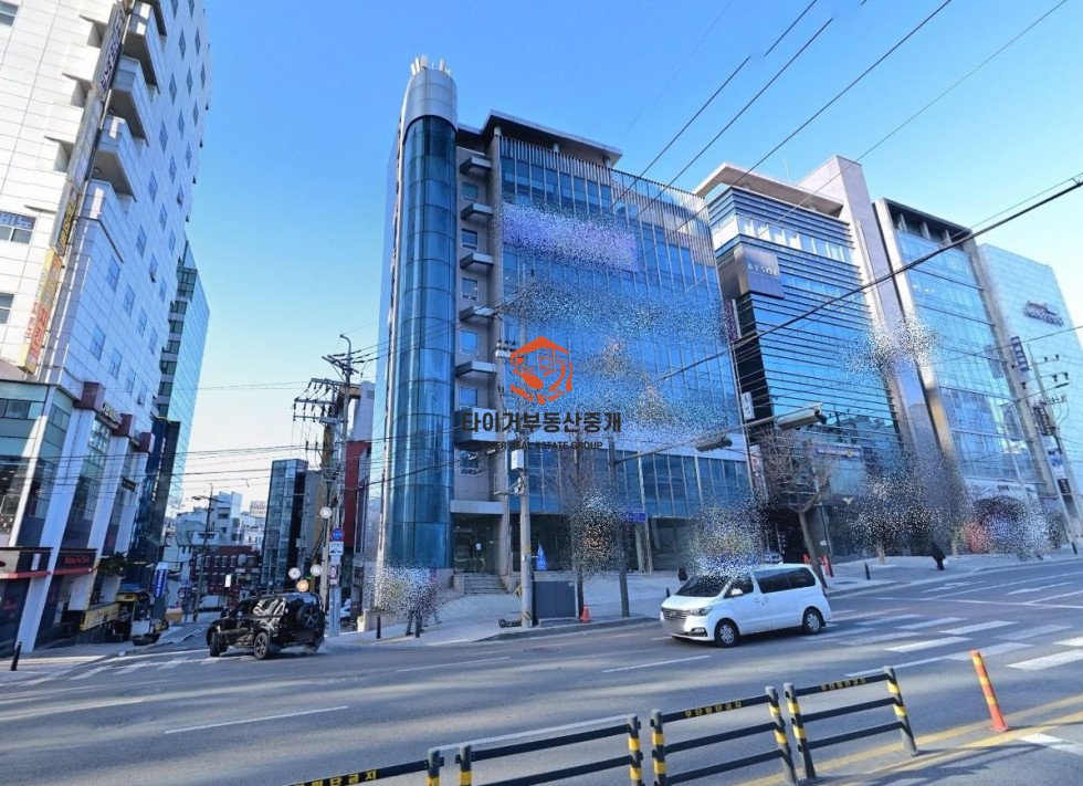 사진 6