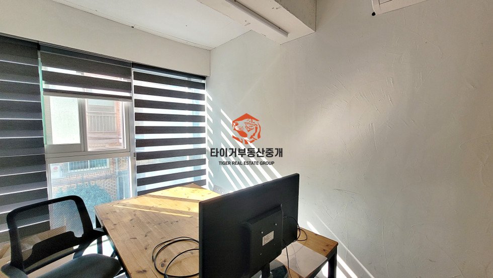 사진 12