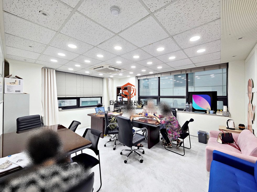 사진 5