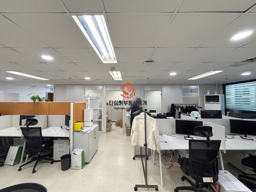 사진 3