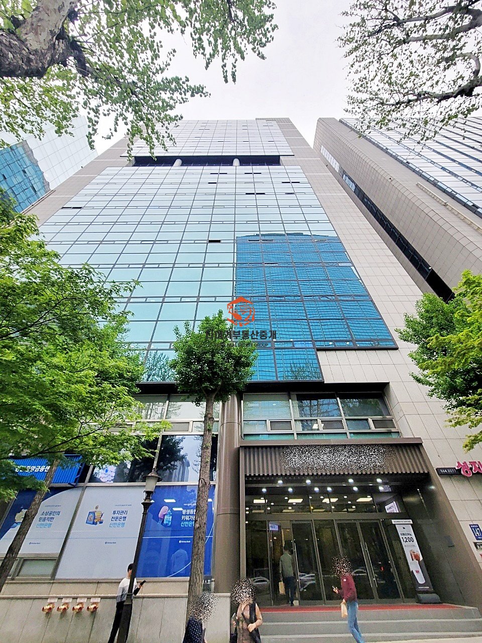 사진 6